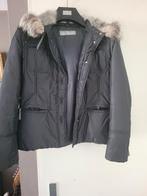 Nieuwe Max mara tussenjas. Nieuw, Kleding | Dames, Jassen | Winter, Ophalen of Verzenden, Zo goed als nieuw
