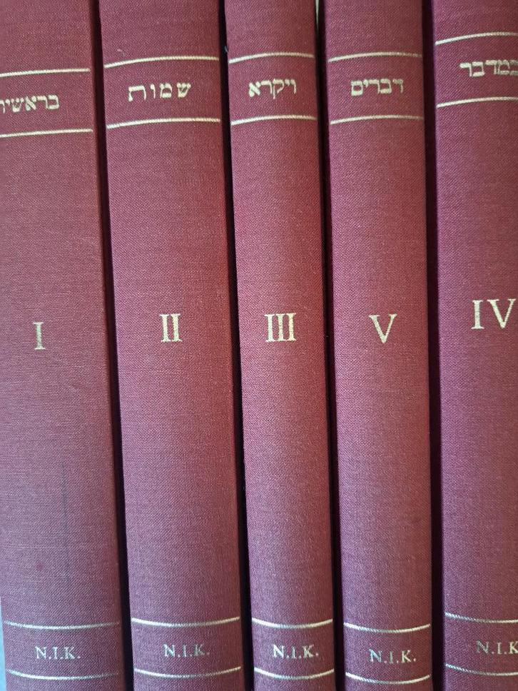 A.S. Onderwijzer - Nederlandse Vertaling van de Pentateuch, Boeken, Godsdienst en Theologie, Gelezen, Jodendom, Ophalen of Verzenden