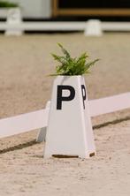 Dressuurletters, letterkegels z-ring. Letterbordje, Ophalen of Verzenden, Nieuw, Dressuur