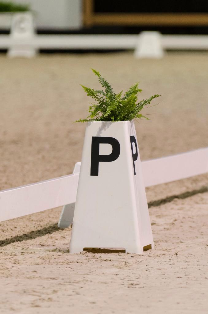 Dressuurletters, letterkegels z-ring. Letterbordje, Dieren en Toebehoren, Paarden en Pony's | Overige Paardenspullen, Nieuw, Dressuur