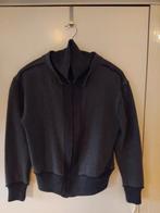 Adolfo Dominguez grijs wol/katoenen cardigan, maat M, Maat 38/40 (M), Ophalen of Verzenden, Zo goed als nieuw, Grijs