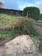 Zand gratis af te halen, Tuin en Terras, Zand, Ophalen, Gebruikt, Straatzand