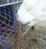 Visnet voor slowfeeder, Info@alletouw.nl, Nieuw, Ophalen of Verzenden, Trekwei 13