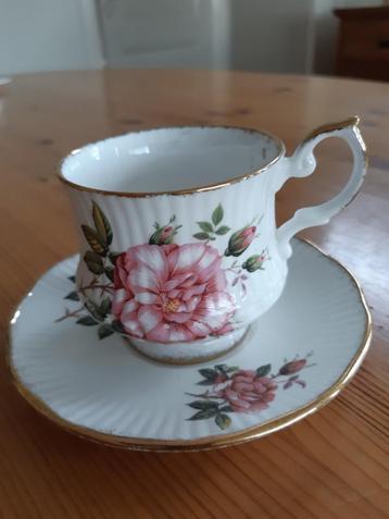 Kop en schotel van porselein beschikbaar voor biedingen