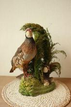 Taxidermie set patrijzen diorama, Ophalen of Verzenden, Gebruikt, Vogel, Opgezet dier
