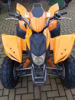 2x  Goes / Aeon Quad 200cc bj 2006 met kentekens   €1200, Motoren, Quads en Trikes, 196 cc, 11 kW of minder, 1 cilinder