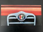 Alfa Romeo Modellen Brochure 1967, Boeken, Auto's | Folders en Tijdschriften, Ophalen of Verzenden, Zo goed als nieuw, Alfa Romeo