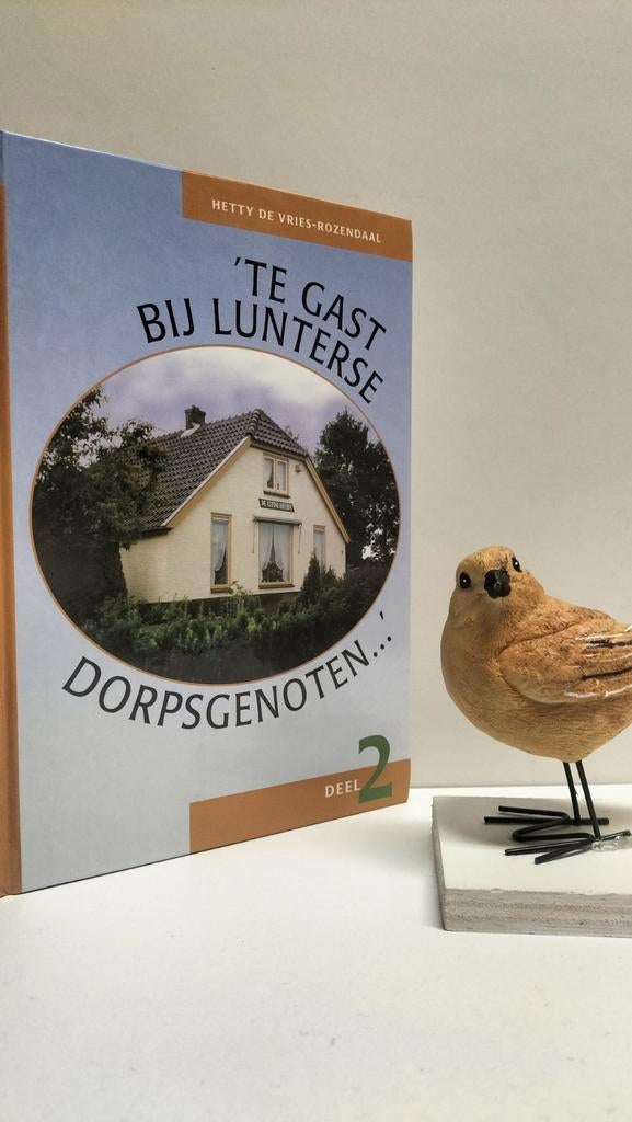 Vries-Rozendaal, H de; Te gast bij Lunterse dorpsge deel 2, Ophalen of Verzenden, Gelezen