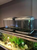 2x aquarium, Ophalen, Leeg aquarium