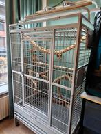 Papegaaienkooi Montana Hacienda Play Platinum, Dieren en Toebehoren, Vogels | Hokken en Kooien, Ophalen, Zo goed als nieuw, Overige materialen