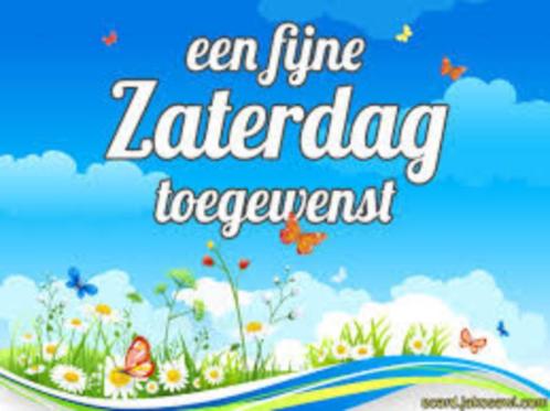 Pandora * de ECHTE * sieraden * ketting * armband * bedels *, Sieraden, Tassen en Uiterlijk, Bedels, Zo goed als nieuw, Pandora
