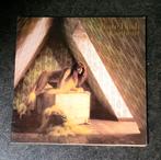 Kate Bush, Cd's en Dvd's, Ophalen of Verzenden, 1980 tot 2000, Gebruikt, 12 inch