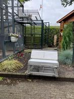 Spoetnik 60 cm, Meerdere dieren, Postduif
