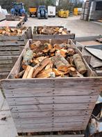 Kersen haardhout/brandhout, 6 m³ of meer, Ophalen of Verzenden, Overige houtsoorten, Blokken