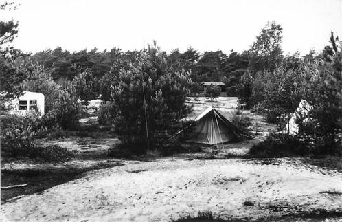 (388-365-023) Doorn Het Grote Bos, Verzamelen, Ansichtkaarten | Nederland, Utrecht, Verzenden