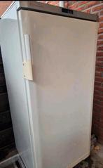 Vrijstaande vrieskast -, Witgoed en Apparatuur, Vriezers en Diepvrieskisten, Ophalen, Gebruikt, Minder dan 60 cm, 160 cm of meer