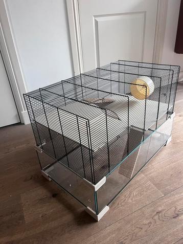Hamster knaagdieren kooi | Karat 80 Zwart&Transparant beschikbaar voor biedingen