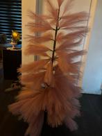 Oud roze pluimen kerstboom, 100 tot 150 cm, Overige soorten, In pot, Groene kamerplant