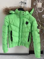 Nickelson winterjas dames, Kleding | Dames, Jassen | Winter, Groen, Maat 42/44 (L), Ophalen of Verzenden, Zo goed als nieuw