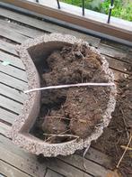 Plantenbak, Tuin en Terras, Ophalen, Steen, Gebruikt, Minder dan 60 cm