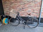 Nette Cortina U4 Transport fiets 57 inch, 56 cm of meer, Ophalen, Zo goed als nieuw, Versnellingen