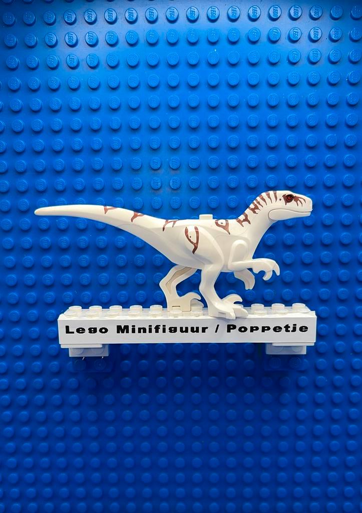 Lego Minifiguur / Poppetje ATROCIRA02., Kinderen en Baby's, Speelgoed | Duplo en Lego, Zo goed als nieuw, Lego, Ophalen of Verzenden