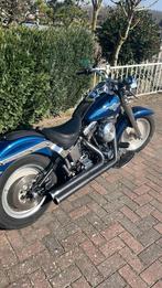Ruilen uitlaat harley davidson!!, Ophalen of Verzenden