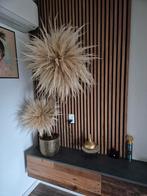 Pampas boom, Ophalen