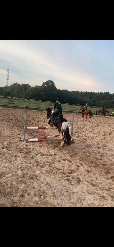 Bijrijder aangeboden omgeving steenwijk, Dieren en Toebehoren, Paarden en Pony's | Overige Paardenspullen, Nieuw, Recreatie, Ophalen of Verzenden