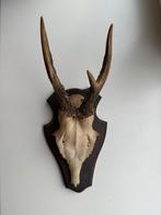 Geweitje 25cm, Ophalen of Verzenden