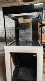 Zeeaquarium Cubes 70x70x70, Dieren en Toebehoren, Ophalen, Gevuld zeewateraquarium