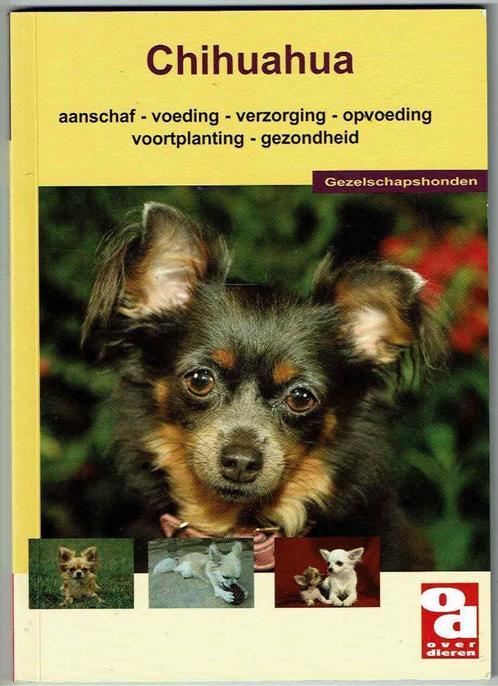 Chihuahua, Boeken, Dieren en Huisdieren, Gelezen, Honden, Ophalen of Verzenden