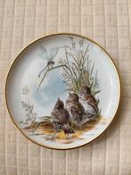 Kaiser Porselein Wandbordjes met Vogels, Antiek en Kunst, Ophalen of Verzenden