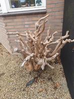 Uniek stuk drijfhout - Decoratief, Ophalen of Verzenden, Gebruikt, Hout, Abstract beeld