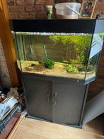 Complete aquarium met pomp en led verlichting, Dieren en Toebehoren, Vissen | Aquaria en Toebehoren, Overige typen, Gebruikt, Ophalen of Verzenden