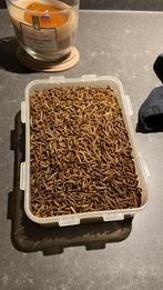 Gedroogde meelwormen, Dieren en Toebehoren, Dierenvoeding, Ophalen of Verzenden, Pluimvee