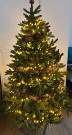 Mooie kerstboom te koop, Ophalen