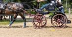 Enkelspan verdonschot marathonwagen, Dieren en Toebehoren, Rijtuigen en Koetsen, Gebruikt, Marathonwagen, Pony