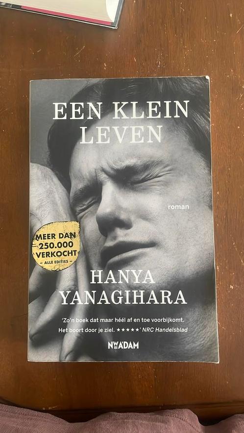 Hanya Yanagihara - Een klein leven, Boeken, Literatuur, Zo goed als nieuw, Amerika, Ophalen of Verzenden