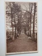 Den Dolder Berkenlaan, Ophalen of Verzenden, 1920 tot 1940, Ongelopen, Utrecht