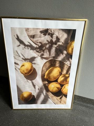 Lemons in sunlight Poster + gouden lijst (zonder glas) beschikbaar voor biedingen