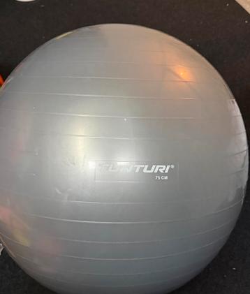 Pilates bal beschikbaar voor biedingen