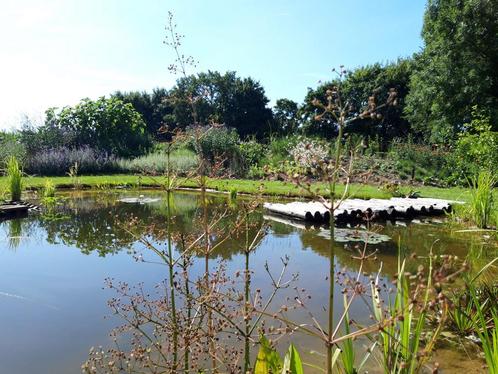 Vijver aanleg / gazon aanleg en groentechniek, Diensten en Vakmensen, Tuinmannen en Stratenmakers, Tuin- of Vijveraanleg