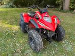Aeon Cobra 180 Quad – opknapper / onderdelen, Motoren, Ophalen, Gebruikt