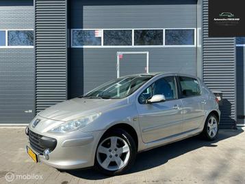 Peugeot 307 1.6-16V XS beschikbaar voor biedingen