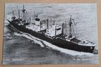 Ansichtkaart m.s. Bintang, Verzamelen, Verzenden, Gebruikt, Motorboot, Kaart, Foto of Prent