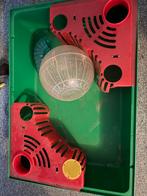 Groene hamster, Dieren en Toebehoren, Konijnen, Mannelijk, Groot