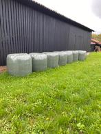 8 midi balen hooi, Dieren en Toebehoren, Dierenvoeding, Ophalen, Vee