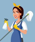 Schoonmaakster aangeboden omgeving Zeist/Den Haag, Schoonmaken bedrijfsruimte