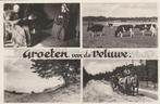 VELUWE Klederdracht Landschap Koeien Paarden Groeten, Verzenden, 1940 tot 1960, Gelopen, Gelderland
